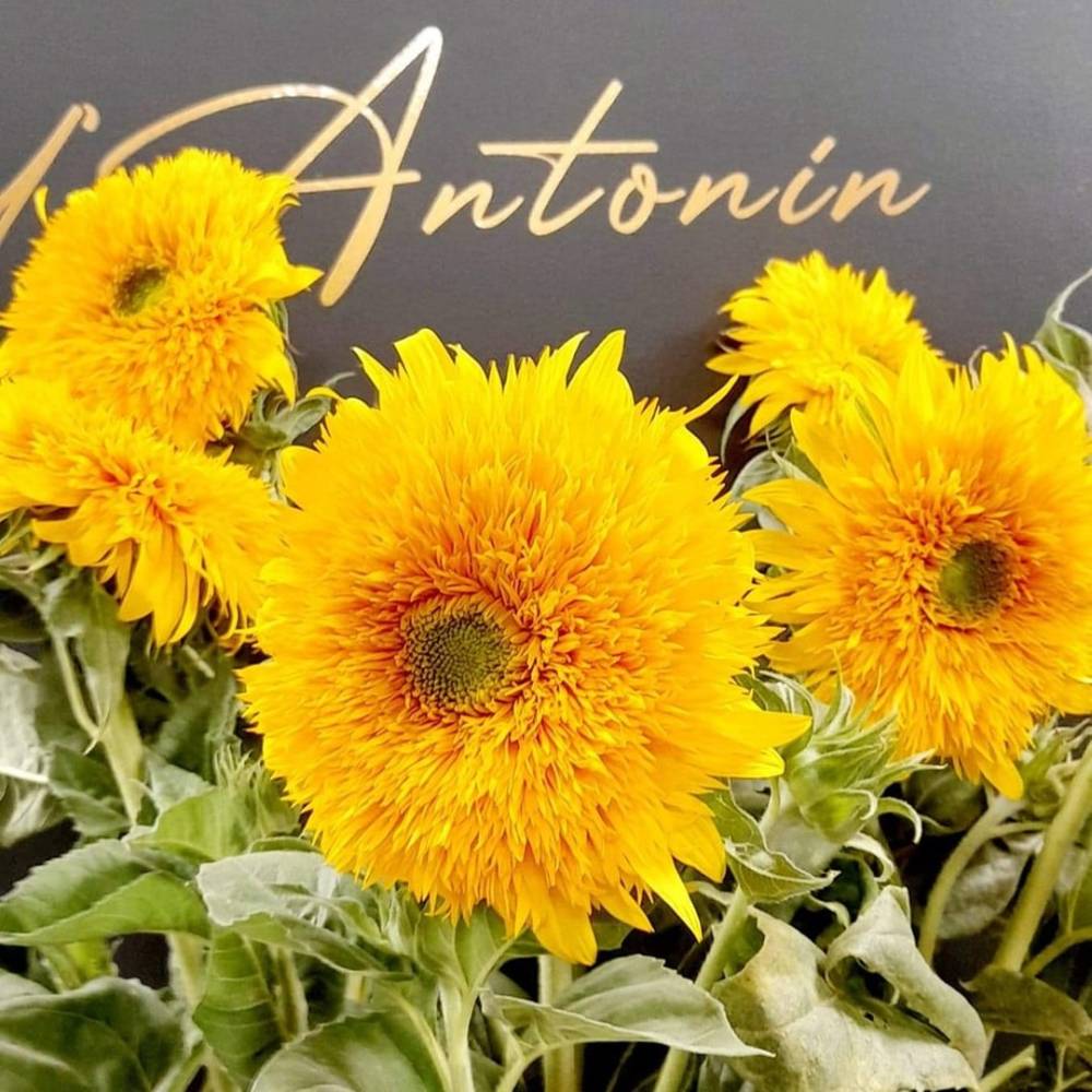 artisan-fleuriste-atelier-d-antonin-abonnement-bouquets-sainte-foy-la-grande (6)